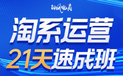 白凤电商·淘系运营21天速成班(更新7月)-MFXUI中国站